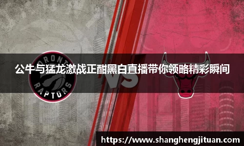 公牛与猛龙激战正酣黑白直播带你领略精彩瞬间